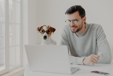 Apprenez à éduquer votre chien en ligne !