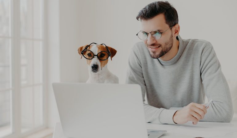 Apprenez à éduquer votre chien en ligne !